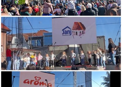 Collage 20251106 113526