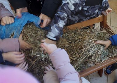 IMG 88d59ab882cd98ab40a127bb68ddc27e V