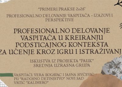 PROFESIONALNO DELOVANjE VASPITACA – IZAZOVI I PERSPEKTIVE VERA BOGAVAC 1